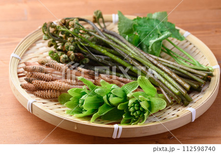 ザルに盛った春の食材 （ ふきのとう 蕨 三つ葉 つくし ) 112598740
