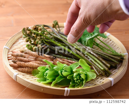ザルに盛った春の食材 （ ふきのとう 蕨 三つ葉 つくし ) 112598742