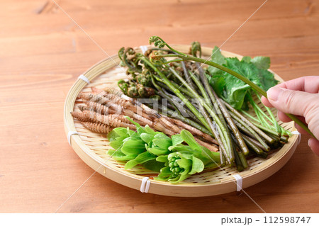 ザルに盛った春の食材 （ ふきのとう 蕨 三つ葉 つくし ) 112598747