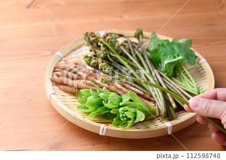 ザルに盛った春の食材 ( ふきのとう 蕨 三つ葉 つくし ) ザルに盛った春の食材 ( ふきのとう 蕨 三つ葉 つくし ) 112598748