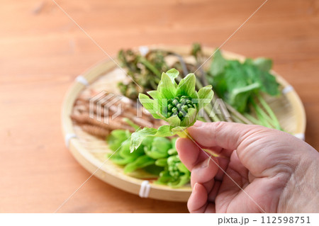 ザルに盛った春の食材 （ ふきのとう 蕨 三つ葉 つくし ) 112598751