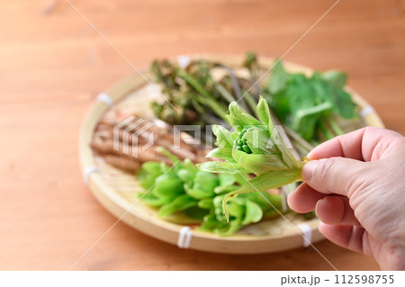 ザルに盛った春の食材 （ ふきのとう 蕨 三つ葉 つくし ) 112598755