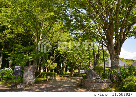 白河関の森公園 2023-7-2 #5 白河関の森公園 2023-7-2 #5 112598927
