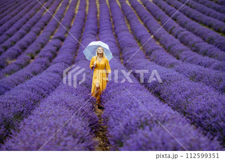 A middle-aged woman in a lavender field walks under an umbrella on a rainy day and enjoys aromatherapy. Aromatherapy concept, lavender oil, photo session in lavender 112599351
