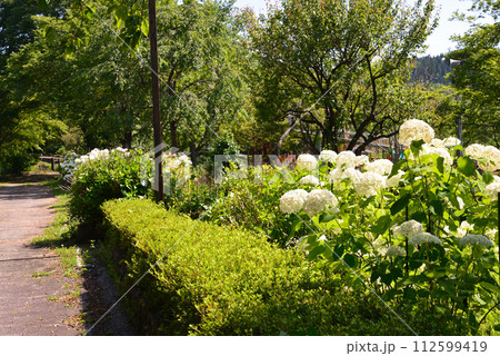 白河関の森公園　2023-7-2　＃15 112599419