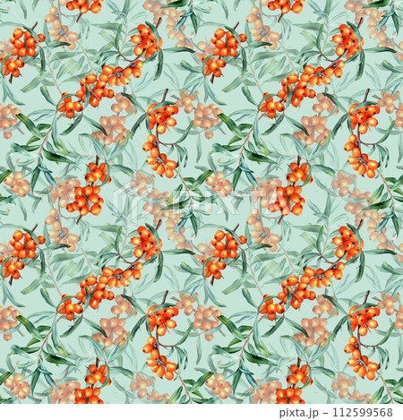Seamless pattern with medicinal plant sea buckthorn branches. Hand drawn watercolor botanical illustration for wrapping wallpaper fabric textile Seamless pattern with medicinal plant sea buckthorn branches. Hand drawn watercolor botanical illustration for wrapping wallpaper fabric textile 112599568