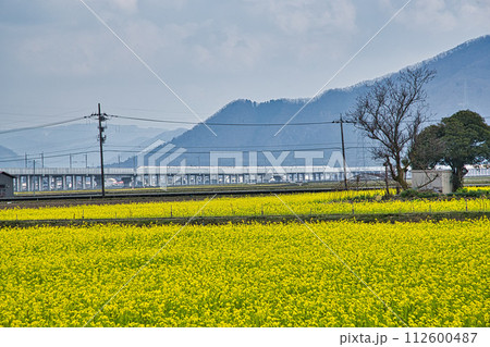 北陸新幹線延伸プロジェクト 北陸新幹線延伸プロジェクト 112600487