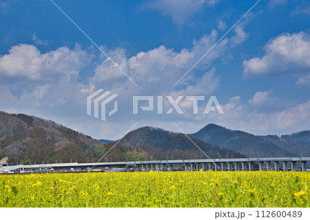 北陸新幹線延伸プロジェクト 112600489