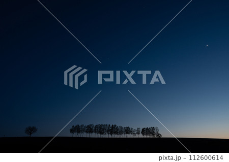 美しい春の夕暮の空とシラカバ並木 112600614