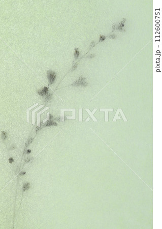 和紙と枯草のコラボ（背景素材） 112600751