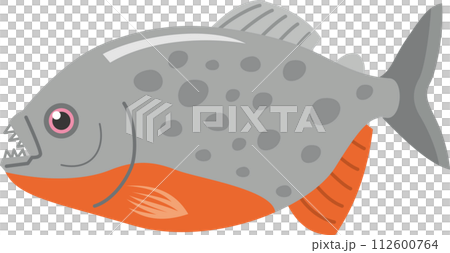 Image illustration of carnivorous freshwater fish piranha Image illustration of carnivorous freshwater fish piranha 112600764
