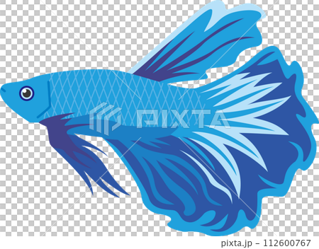 青色熱帯魚ベタのイメージイラスト 青色熱帯魚ベタのイメージイラスト 112600767
