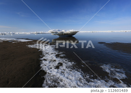 北海に春がくる 112601489