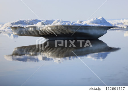 残氷オブジェ 112601527