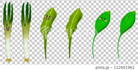 Vegetable Illustration - Characters - Green onions and leaves 112601962
