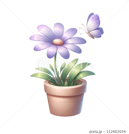 Purple flower in the pot 112602034