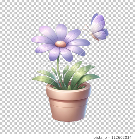 Purple flower in the pot 112602034