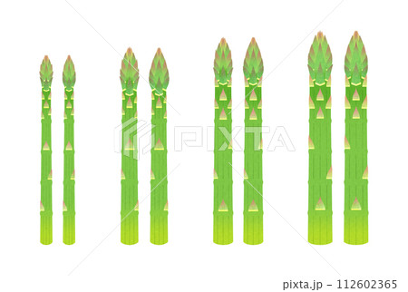 グリーンアスパラガス グリーンアスパラガス 112602365