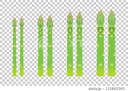 グリーンアスパラガス グリーンアスパラガス 112602365