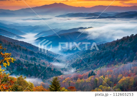 fog in autumn forest 112603253