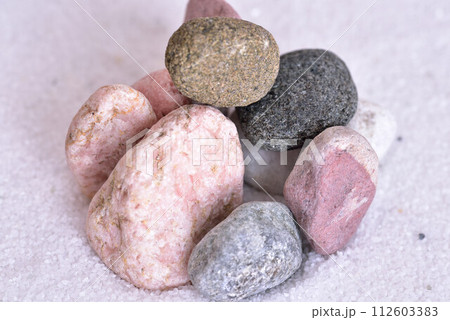 団地住まいの皿庭いじり 112603383