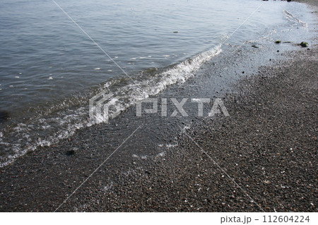 春の有明海の波打ち際 112604224