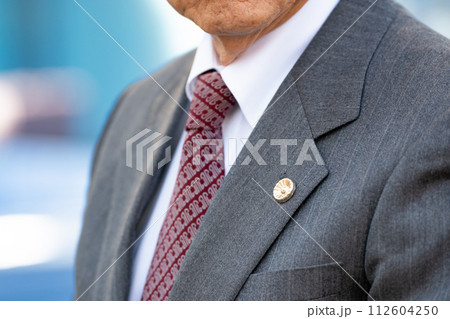 シニア弁護士 オフィス街 顔なし シニア弁護士 オフィス街 顔なし 112604250