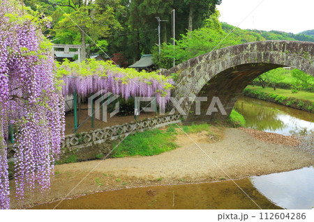 満開の藤（西寒田神社・大分市） 112604286
