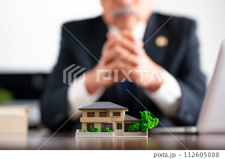 シニア弁護士 住宅模型 顔なし シニア弁護士 住宅模型 顔なし 112605088