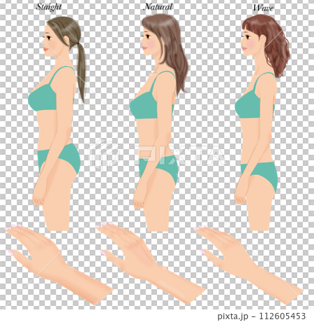 若い女性の骨格診断_横向き　手　3パターンセット 112605453