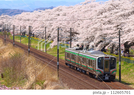 東北本線：一目千本桜を行くJR郡山工場出場車両（E721系電車2両） 112605701