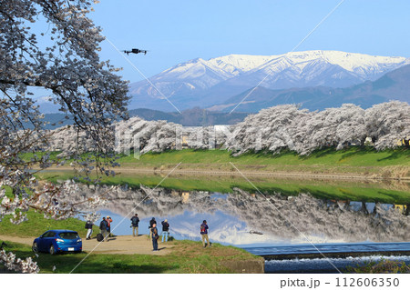 春爛漫の白石川堤一目千本桜：韮神堰（宮城県柴田郡柴田町） 112606350