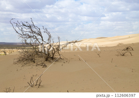 Tuyesu dunes landscape, Senek, Kazakhstan Tuyesu dunes landscape, Senek, Kazakhstan 112606397
