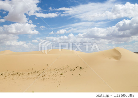 Tuyesu dunes landscape, Senek, Kazakhstan Tuyesu dunes landscape, Senek, Kazakhstan 112606398