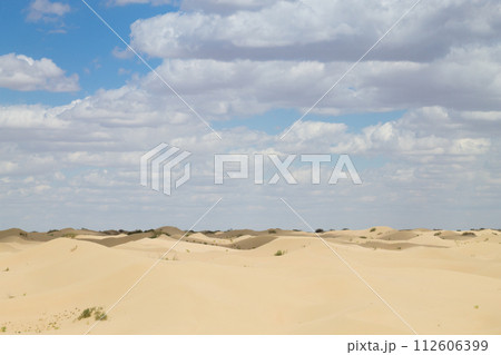 Kazakhstan desertic landscape, Senek town area, Mangystau region Kazakhstan desertic landscape, Senek town area, Mangystau region 112606399