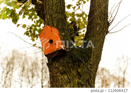 Vibrant Red Birdhouse Hanging from a Lush Tree BranchA vibrant red birdhouse hanging from a lush tree branch in the garden, against a bright blue sky. The picturesque scene evokes a peaceful and idyll 112606427