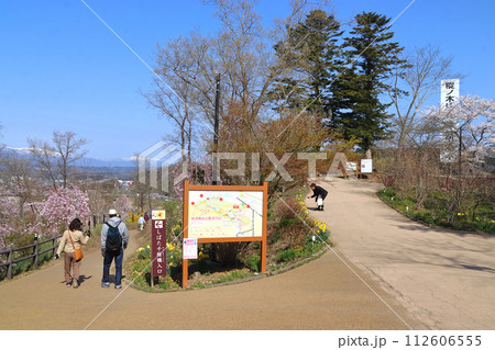 春の船岡城址公園にて（宮城県柴田郡柴田町） 112606555