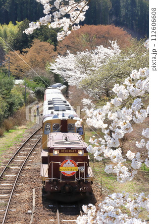 わたらせ渓谷鐵道「沢入駅の桜とトロッコわたらせ渓谷号」 112606608