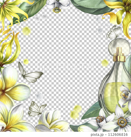 A frame with perfume flowers of plumeria, frangipani, orange blossom and ylang-ylang. Vintage delicate frame with tropical flowers and butterflies. Hand-drawn watercolor illustration. For postcards. 112606816