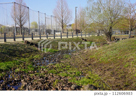 新横浜公園 草地広場の水辺 新横浜公園 草地広場の水辺 112606983