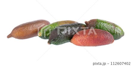 Fresh finger limes isolated on white background. Caviar lime. Fruits pods. Clipping path. Fresh finger limes isolated on white background. Caviar lime. Fruits pods. Clipping path. 112607402