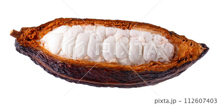 Fresh cocoa fruits isolated on white background. Dark red cocoa pods. Clipping path. Fresh cocoa fruits isolated on white background. Dark red cocoa pods. Clipping path. 112607403