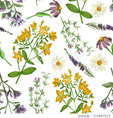 Watercolor pattern. Meadow grasses and flowers echinacea, hypericaceae, heather, chamomile, oregano hand drawn in watercolor. Suitable for printing on paper, books, scrapbooking, design, textiles. 112607423