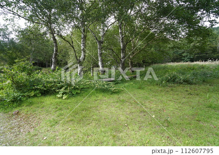 須坂市 米子大瀑布付近の米子川右岸の様子 2023年8月31日 須坂市 米子大瀑布付近の米子川右岸の様子 2023年8月31日 112607795