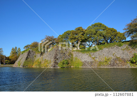 八代城跡 112607881