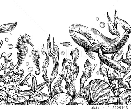 Underwater world clipart with sea animals whale, turtle, octopus, seahorse, starfish, shells, coral and algae. Graphic illustration hand drawn in black ink. Seamless border EPS vector. Underwater world clipart with sea animals whale, turtle, octopus, seahorse, starfish, shells, coral and algae. Graphic illustration hand drawn in black ink. Seamless border EPS vector. 112609148