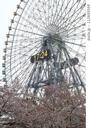 桜と観覧車が見える風景 桜と観覧車が見える風景 112609384