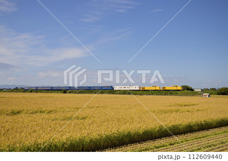 秋の宗谷本線を行くTHE ROYAL EXPRESS 112609440