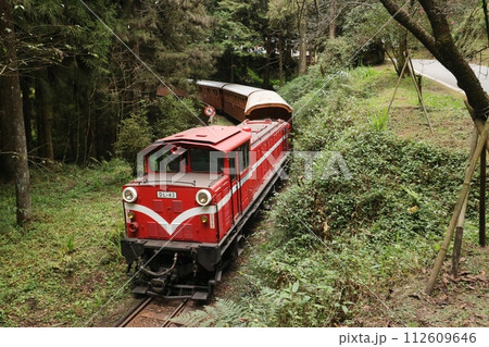 阿里山森林遊楽区を走る列車 阿里山森林遊楽区を走る列車 112609646