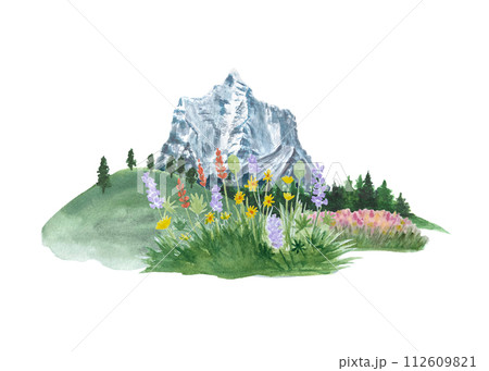 Watercolor composition of wild flowers, hills, trees and a mountain in a natural landscape Watercolor composition of wild flowers, hills, trees and a mountain in a natural landscape 112609821